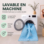 Tapis fraîcheur pedipaw