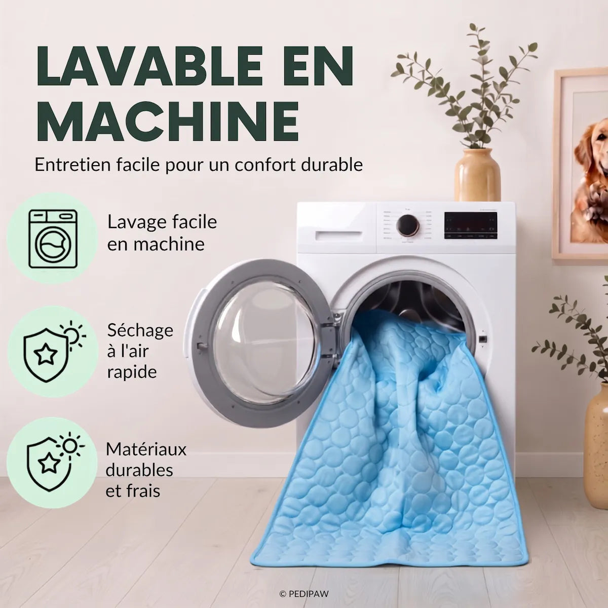 Tapis fraîcheur pedipaw