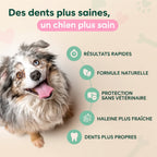 Anti-tartre spray pedipaw