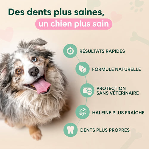 Anti-tartre spray pedipaw