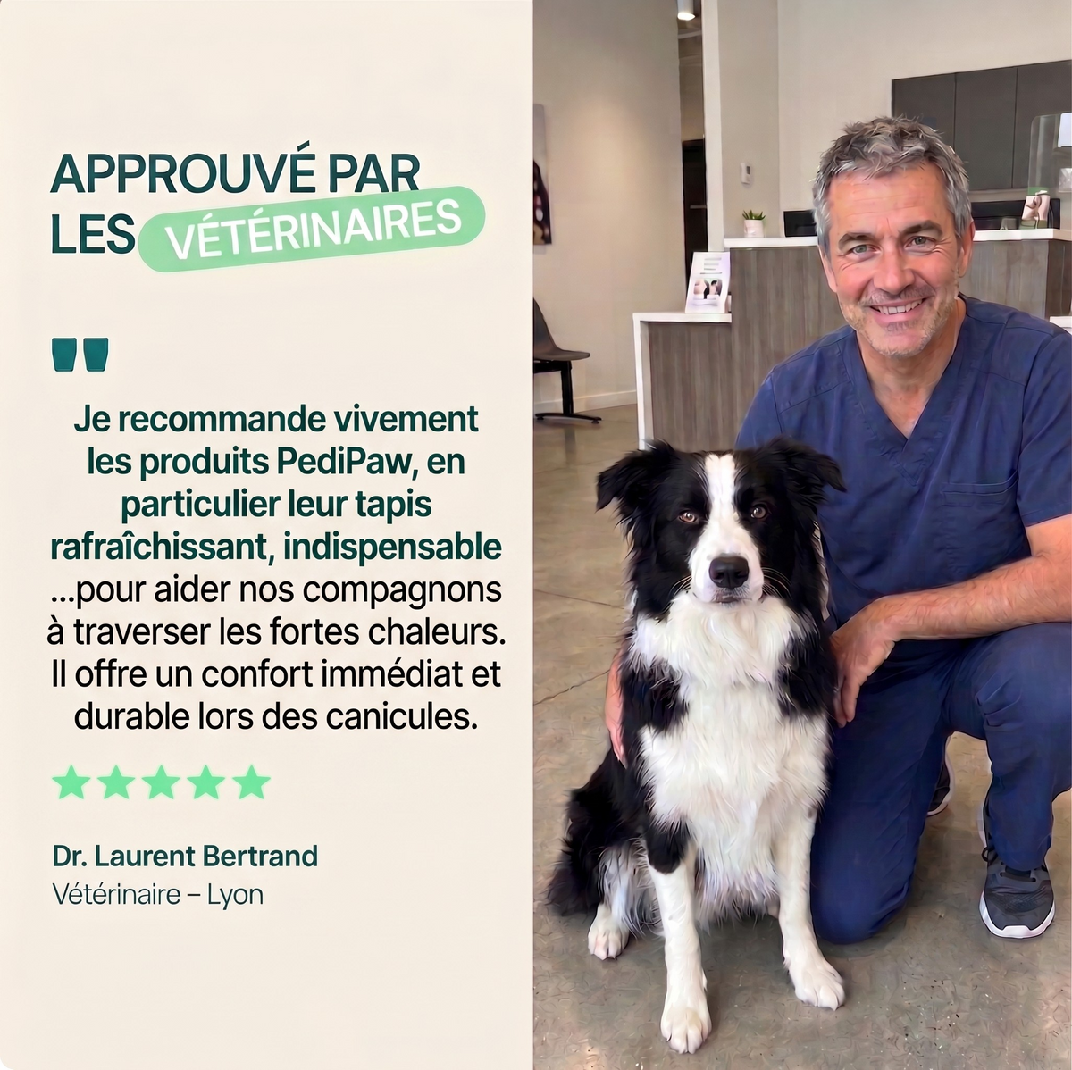 Tapis fraîcheur pedipaw