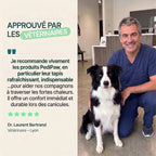 Tapis fraîcheur pedipaw