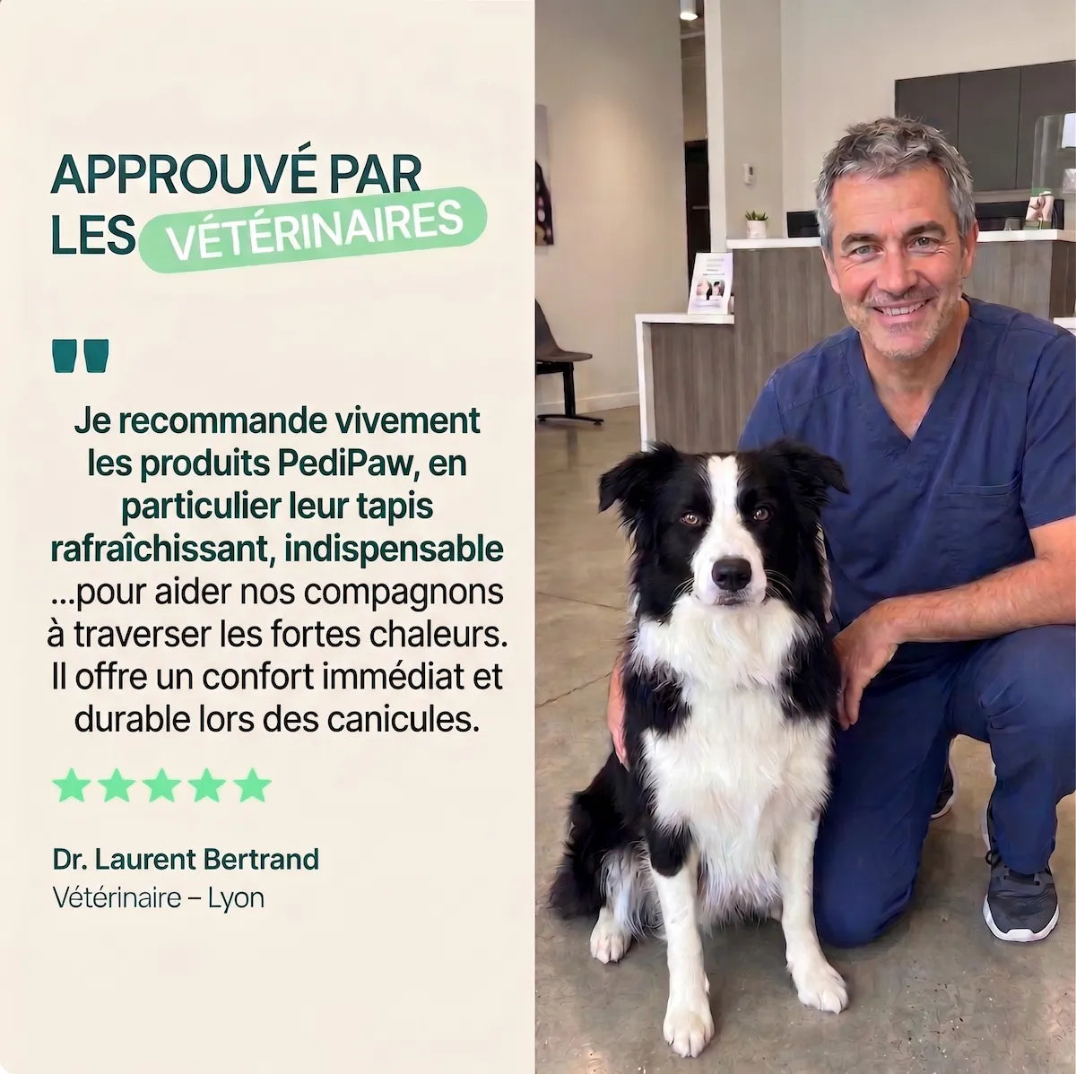 Tapis fraîcheur pedipaw
