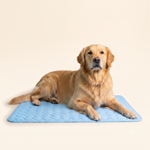Tapis fraîcheur / advertorial page