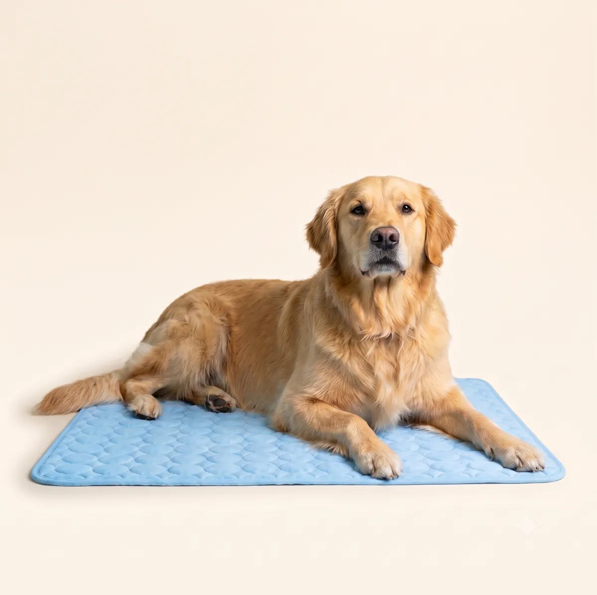 Tapis fraîcheur pedipaw