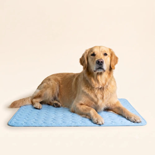 Tapis fraîcheur pedipaw