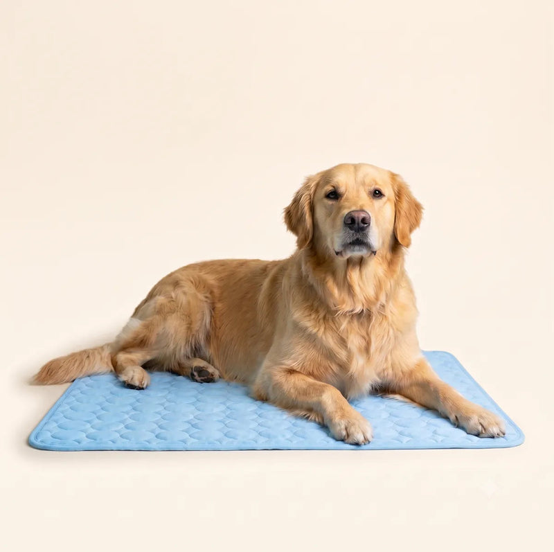 Tapis fraîcheur pedipaw