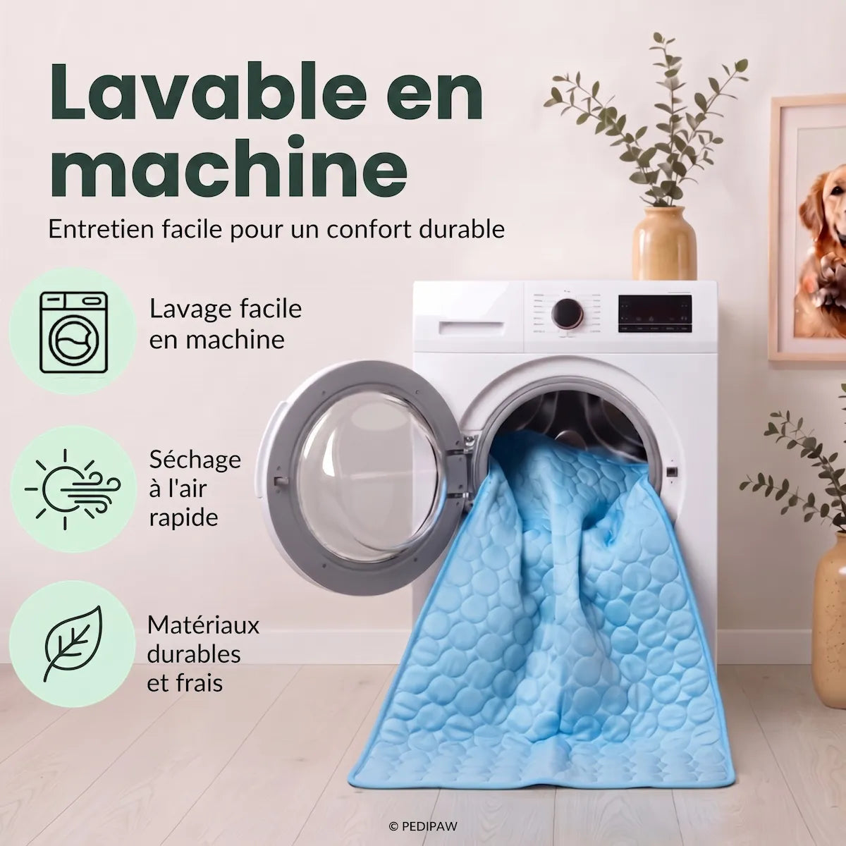 Le Tapis Fraîcheur pedipaw