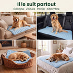 Le Tapis Fraîcheur pedipaw