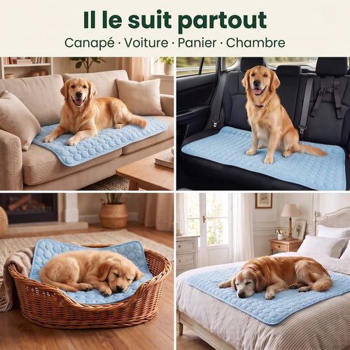 Le Tapis Fraîcheur pedipaw