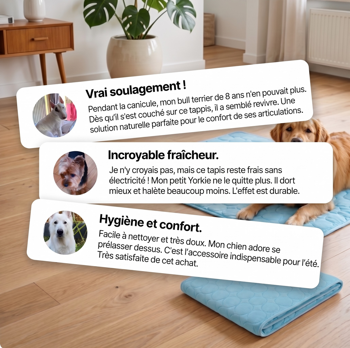 Tapis fraîcheur pedipaw