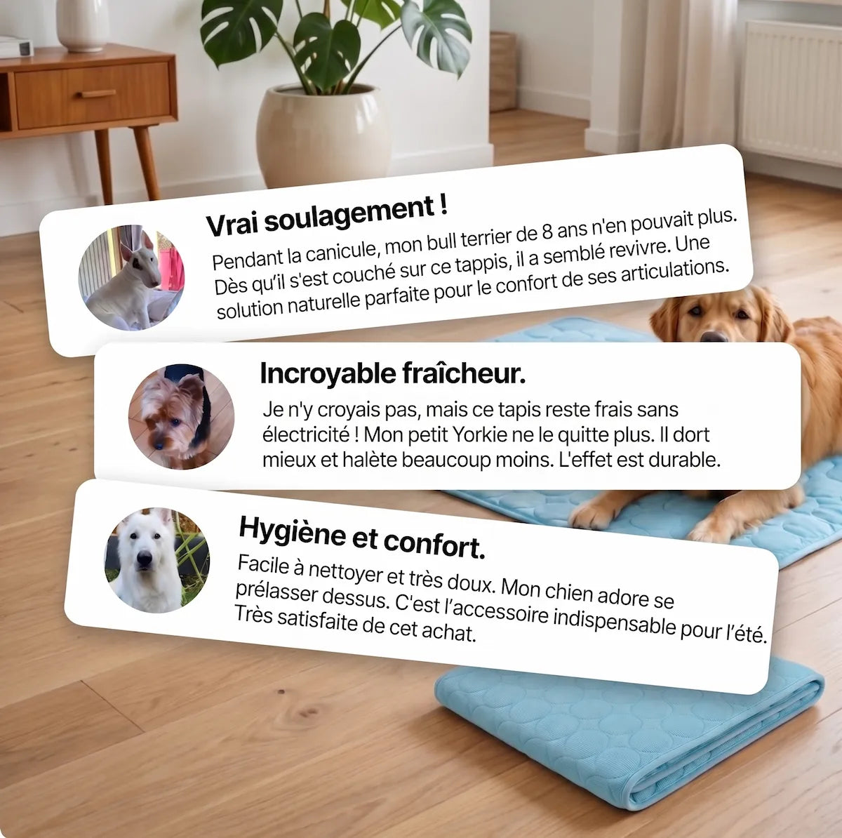 Tapis fraîcheur pedipaw